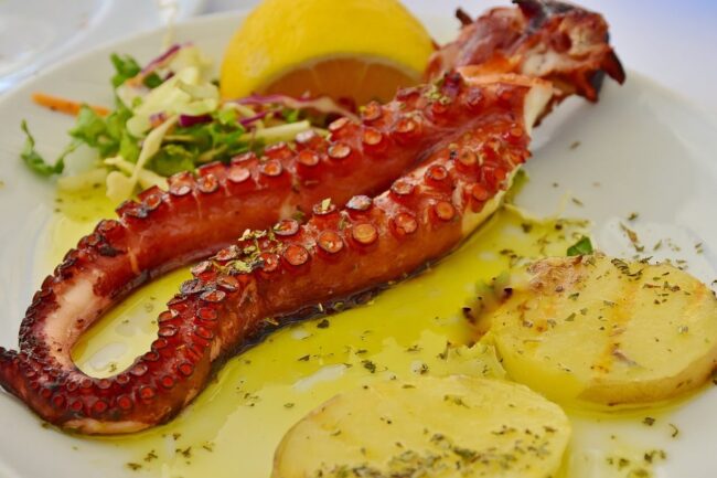 fried octopus